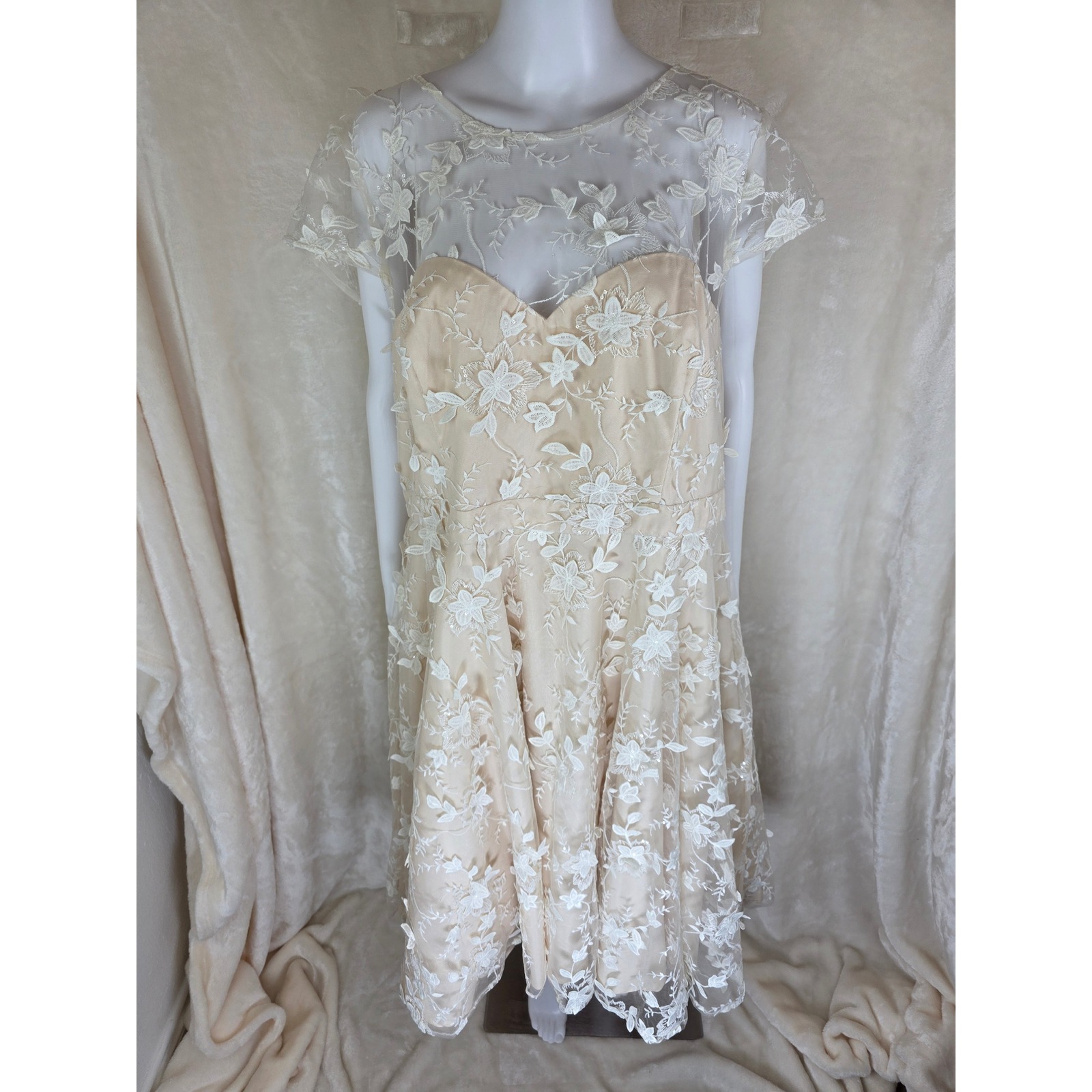 Modcloth Chi Chi London Eyes On The Bride Creme Embroidered Floral Dress 26w